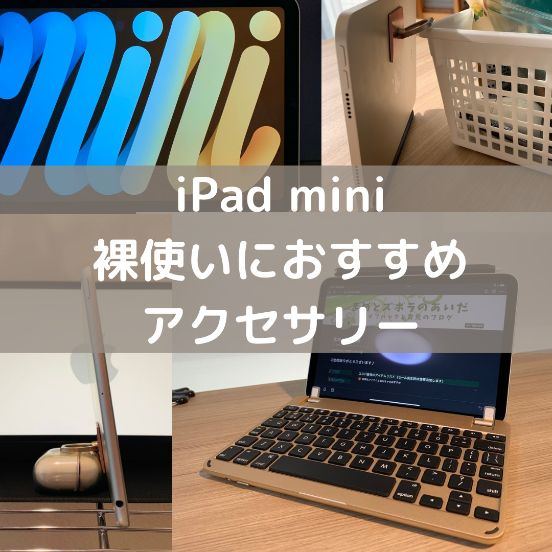 iPad miniアクセサリー